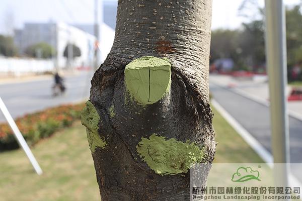 亚洲精品白浆高清久久久久久