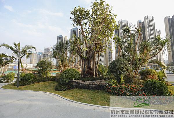 亚洲精品白浆高清久久久久久