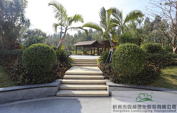 亚洲精品白浆高清久久久久久