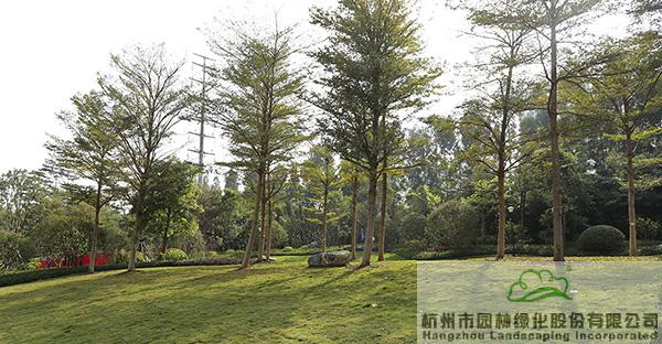 亚洲精品白浆高清久久久久久