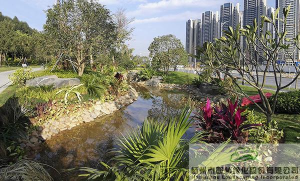 亚洲精品白浆高清久久久久久