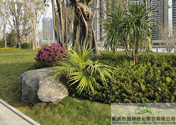 亚洲精品白浆高清久久久久久