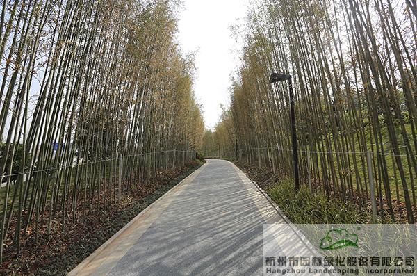 亚洲精品白浆高清久久久久久