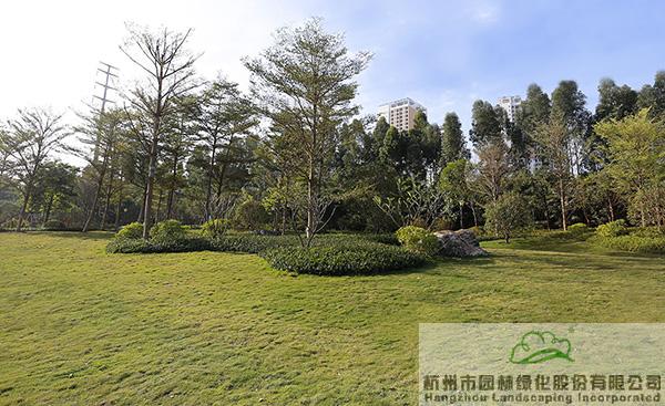 亚洲精品白浆高清久久久久久