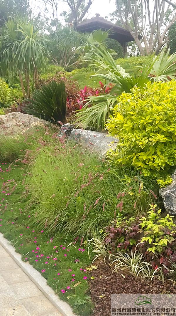 亚洲精品白浆高清久久久久久