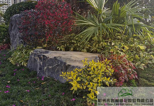 亚洲精品白浆高清久久久久久