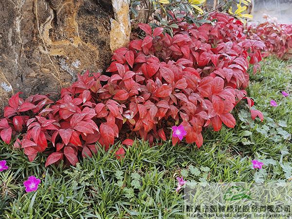 亚洲精品白浆高清久久久久久