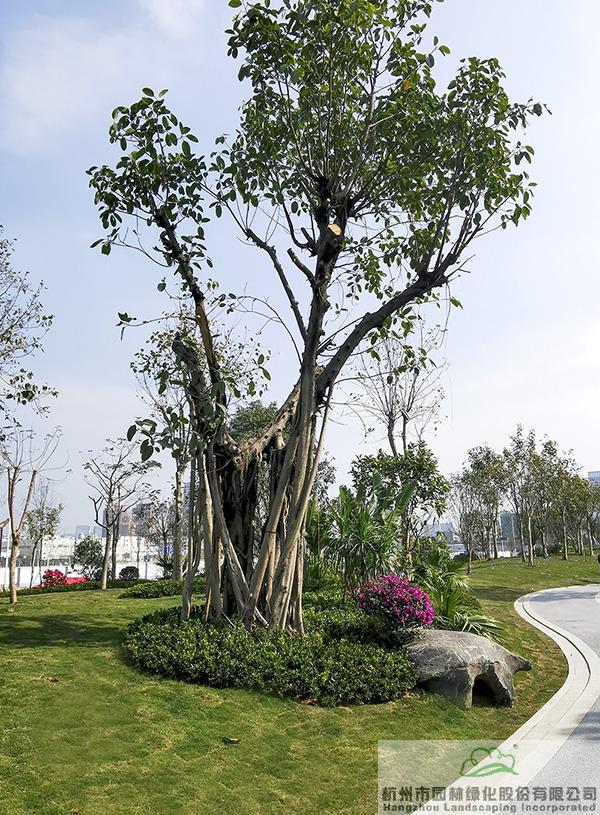 亚洲精品白浆高清久久久久久