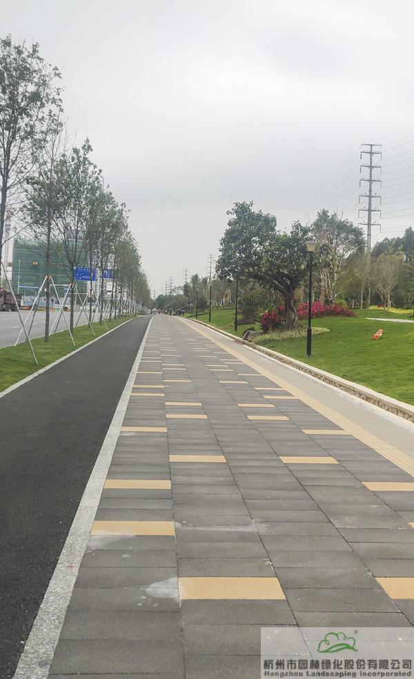 亚洲精品白浆高清久久久久久