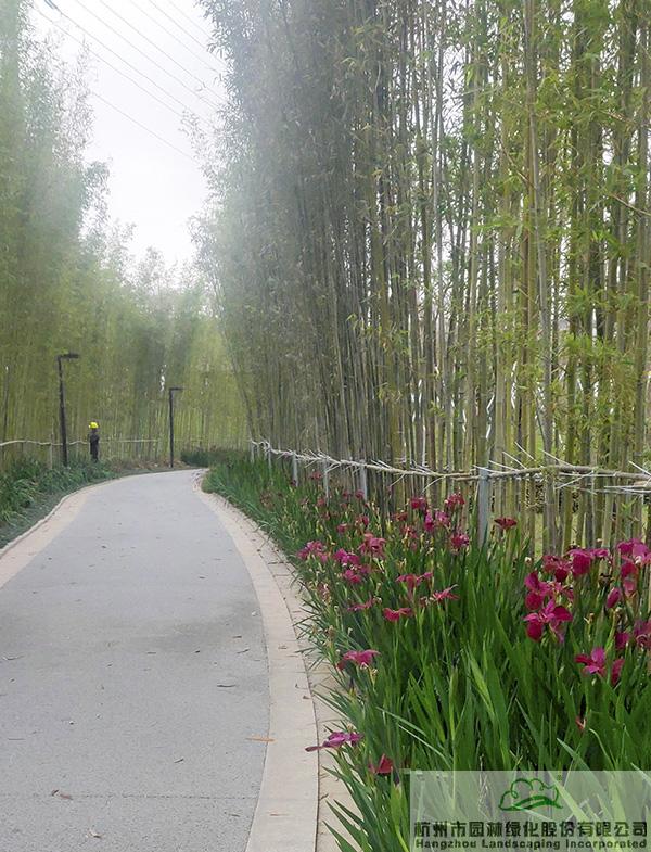 亚洲精品白浆高清久久久久久