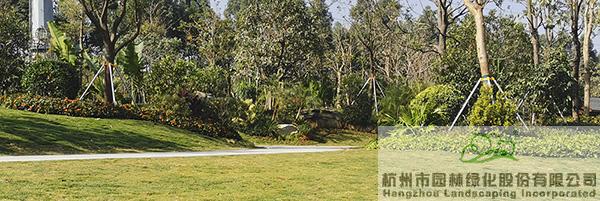 亚洲精品白浆高清久久久久久