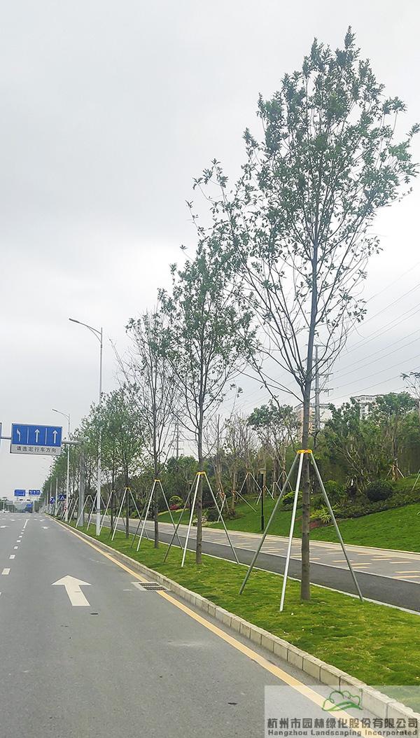 亚洲精品白浆高清久久久久久