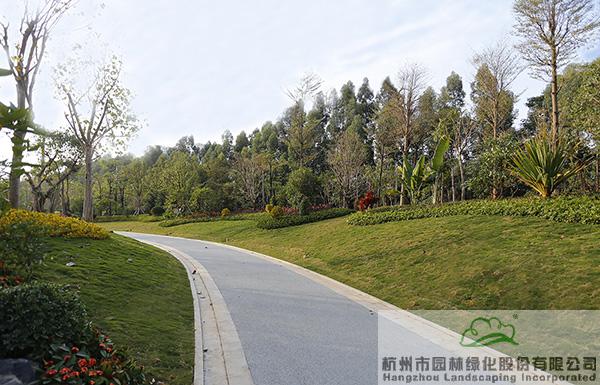 亚洲精品白浆高清久久久久久