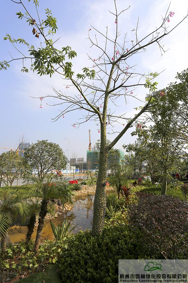 亚洲精品白浆高清久久久久久