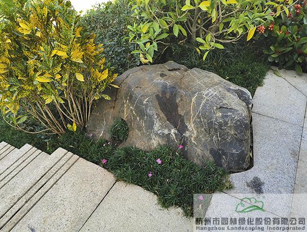 亚洲精品白浆高清久久久久久