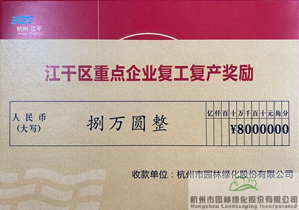 亚洲精品白浆高清久久久久久