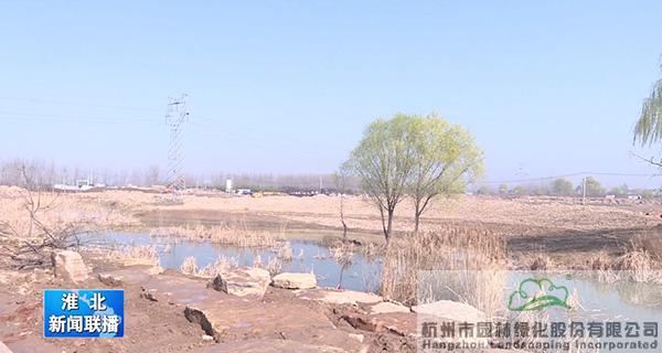 亚洲精品白浆高清久久久久久