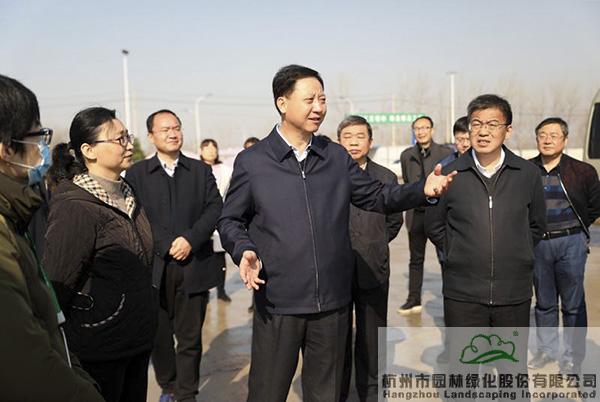 亚洲精品白浆高清久久久久久