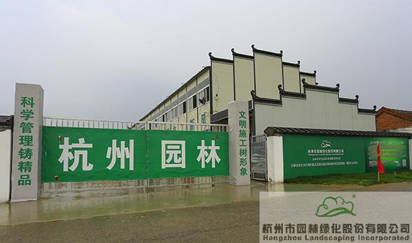 亚洲精品白浆高清久久久久久