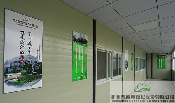 亚洲精品白浆高清久久久久久