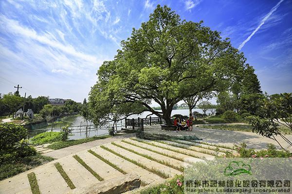 亚洲精品白浆高清久久久久久