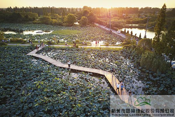 亚洲精品白浆高清久久久久久