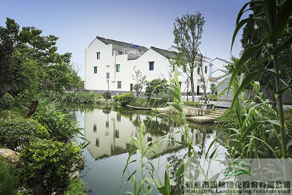 亚洲精品白浆高清久久久久久