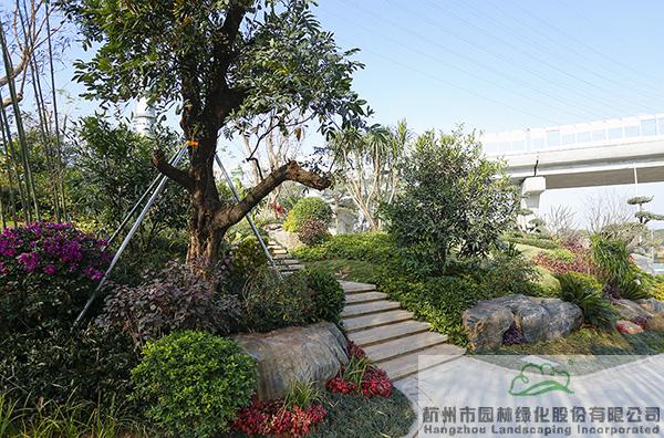 亚洲精品白浆高清久久久久久