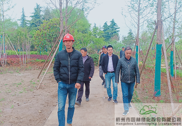 亚洲精品白浆高清久久久久久