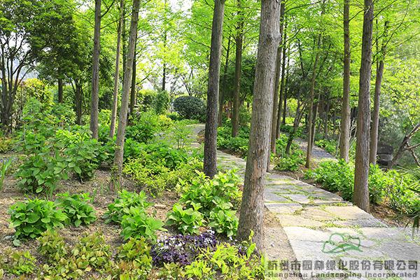 亚洲精品白浆高清久久久久久