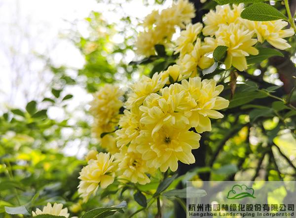 亚洲精品白浆高清久久久久久