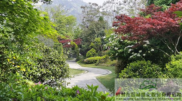 亚洲精品白浆高清久久久久久