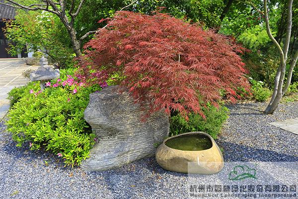 亚洲精品白浆高清久久久久久