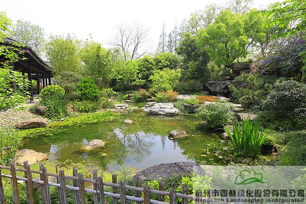 亚洲精品白浆高清久久久久久