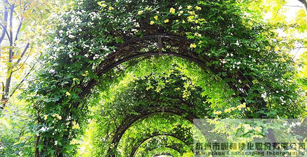 亚洲精品白浆高清久久久久久