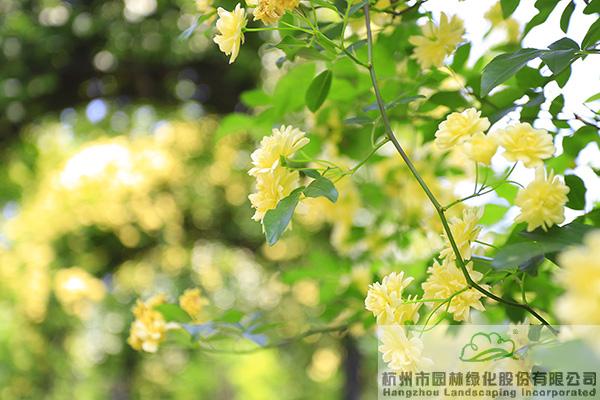 亚洲精品白浆高清久久久久久