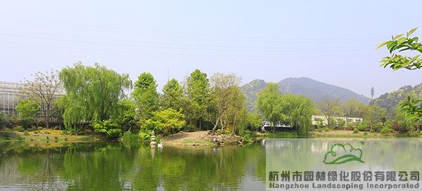 亚洲精品白浆高清久久久久久