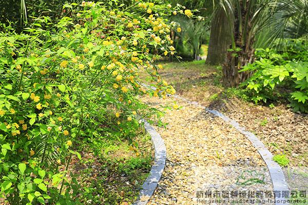 亚洲精品白浆高清久久久久久