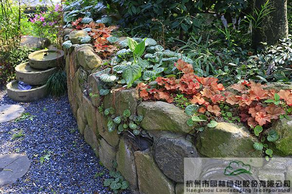 亚洲精品白浆高清久久久久久