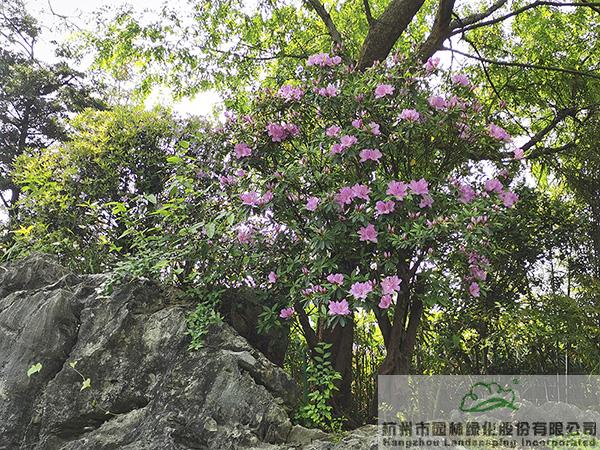 亚洲精品白浆高清久久久久久