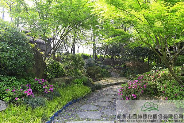 亚洲精品白浆高清久久久久久