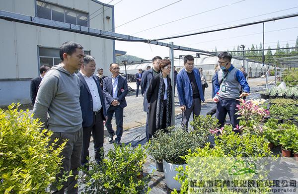 亚洲精品白浆高清久久久久久