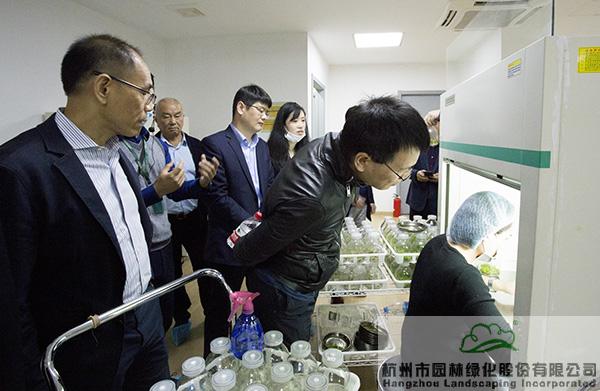 亚洲精品白浆高清久久久久久