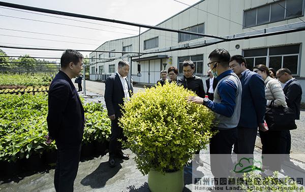 亚洲精品白浆高清久久久久久