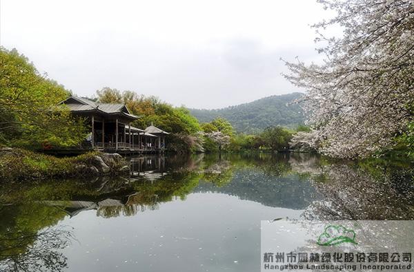 亚洲精品白浆高清久久久久久