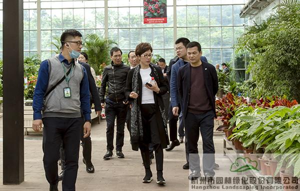 亚洲精品白浆高清久久久久久