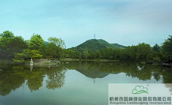 亚洲精品白浆高清久久久久久