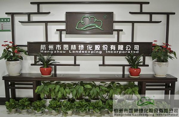 亚洲精品白浆高清久久久久久