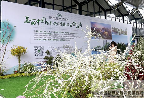 亚洲精品白浆高清久久久久久