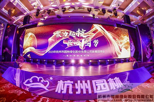 亚洲精品白浆高清久久久久久